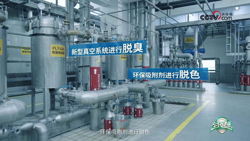 央视网走进多力安心工厂 探寻降低油烟技术专利的奥秘