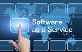 SaaS模式下的大数据服务 典型公司盘点与分析